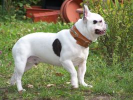 Ulysse (1) à 3 ans. Ulysse (1) à 3 ans.