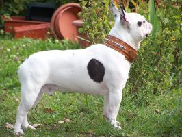 Ulysse (1) à 3 ans. Ulysse (1) à 3 ans.