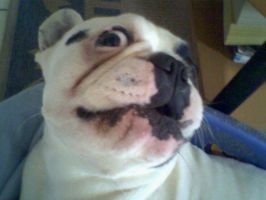 Pas de commentaire. Pas de commentaire.