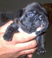 Umettu en juin 2004.