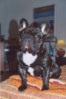 Expo de Nantes en 2006.