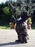 Umettu le 3 mars 2006.