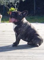 Umettu le 7 mars 2006.