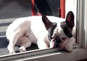 Pas de commentaire. Pas de commentaire.