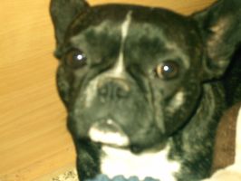 Pas de commentaire. Pas de commentaire.