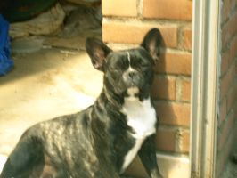 Pas de commentaire. Pas de commentaire.