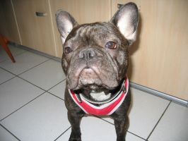 J'suis pas beau avec mon pull!!!