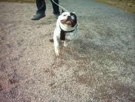 Allez je pose, vas-y. Allez je pose, vas-y.