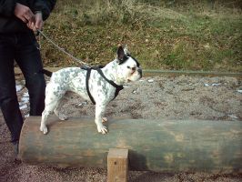 Qui me parle??? Qui me parle???