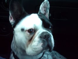 Ahh ces paparazzis. Ahh ces paparazzis.