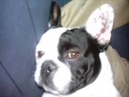 Dis tu me le donnes ce gâteau! Dis tu me le donnes ce gâteau!