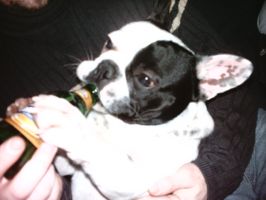 Quand on vous dit qu'il est humain... Quand on vous dit qu'il est humain...