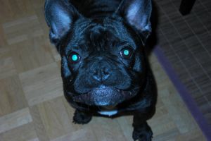 Pas de commentaire. Pas de commentaire.