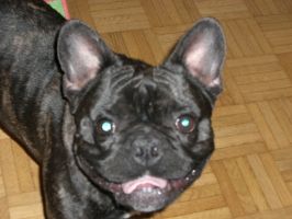 Pas de commentaire. Pas de commentaire.