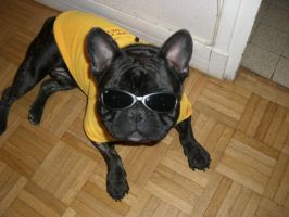 Pas de commentaire. Pas de commentaire.