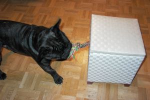 Pas de commentaire. Pas de commentaire.