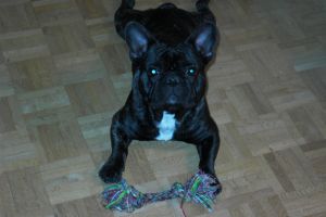 Pas de commentaire. Pas de commentaire.