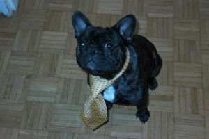 Pas de commentaire. Pas de commentaire.