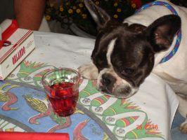 Pas de commentaire. Pas de commentaire.