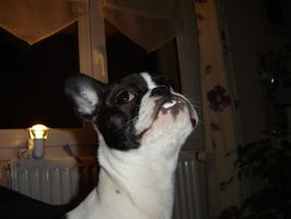 Pas de commentaire. Pas de commentaire.