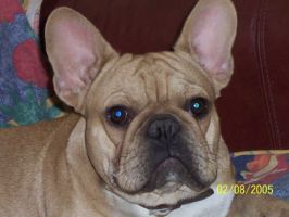 Volkano à 15 mois. Vous avez vu ma nouvelle copine? Vous inquietez pas je la protège!!! Volkano à 15 mois. Vous avez vu ma nouvelle copine? Vous inquietez pas je la protège!!!