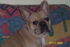 Pas de commentaire. Pas de commentaire.