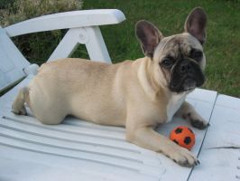 Pas de commentaire. Pas de commentaire.