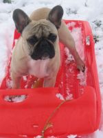 Pas de commentaire. Pas de commentaire.