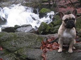 Pas de commentaire. Pas de commentaire.