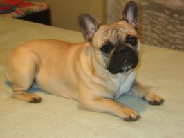 Pas de commentaire. Pas de commentaire.