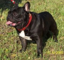 Popeye à 7 ans Popeye à 7 ans