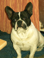 Téquila à 3 ans et demi