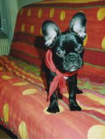 Tissy à 3 ans Tissy à 3 ans