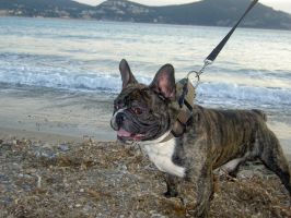 Toto à 4 ans Toto à 4 ans