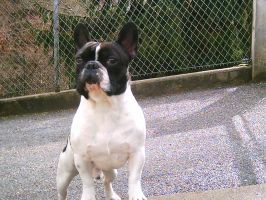 Ulkan à 2 ans et demi Ulkan à 2 ans et demi