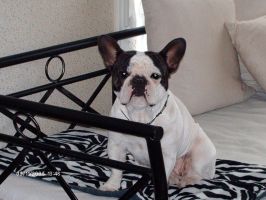 Uranie à 2 ans Uranie à 2 ans