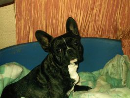 Utopie à 2 ans et demi Utopie à 2 ans et demi