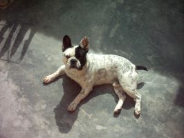 Verdi à 15 mois Verdi à 15 mois