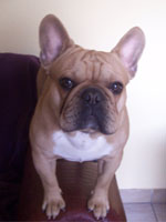 Volkano à 15 mois Volkano à 15 mois