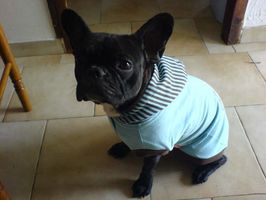 Maya Maya