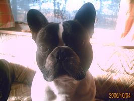 Arrête de me prendre en photo!
