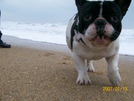 Pas de commentaire. Pas de commentaire.