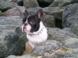 Pas de commentaire. Pas de commentaire.