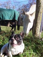 Pas de commentaire. Pas de commentaire.