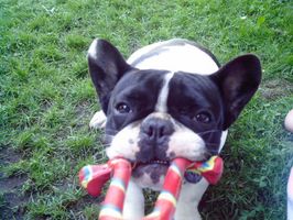 Pas de commentaire. Pas de commentaire.