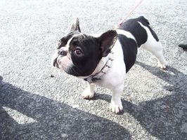 Pas de commentaire. Pas de commentaire.