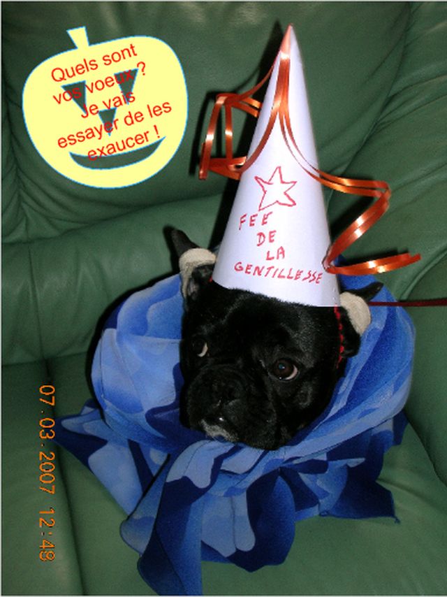 Aïsha notre fée Aïsha notre fée