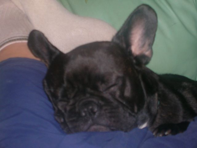 dscn0428 dscn0428