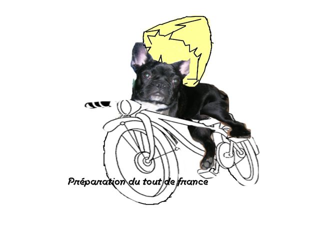 Préparation du Tour de France