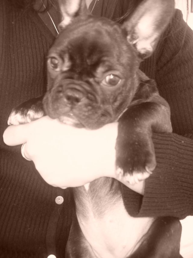 alouna_calinours_nb alouna_calinours_nb